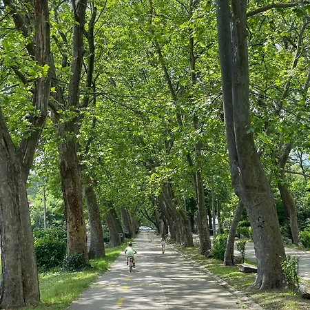 Appartamento Surf & Sun Foeldvar Balaton *